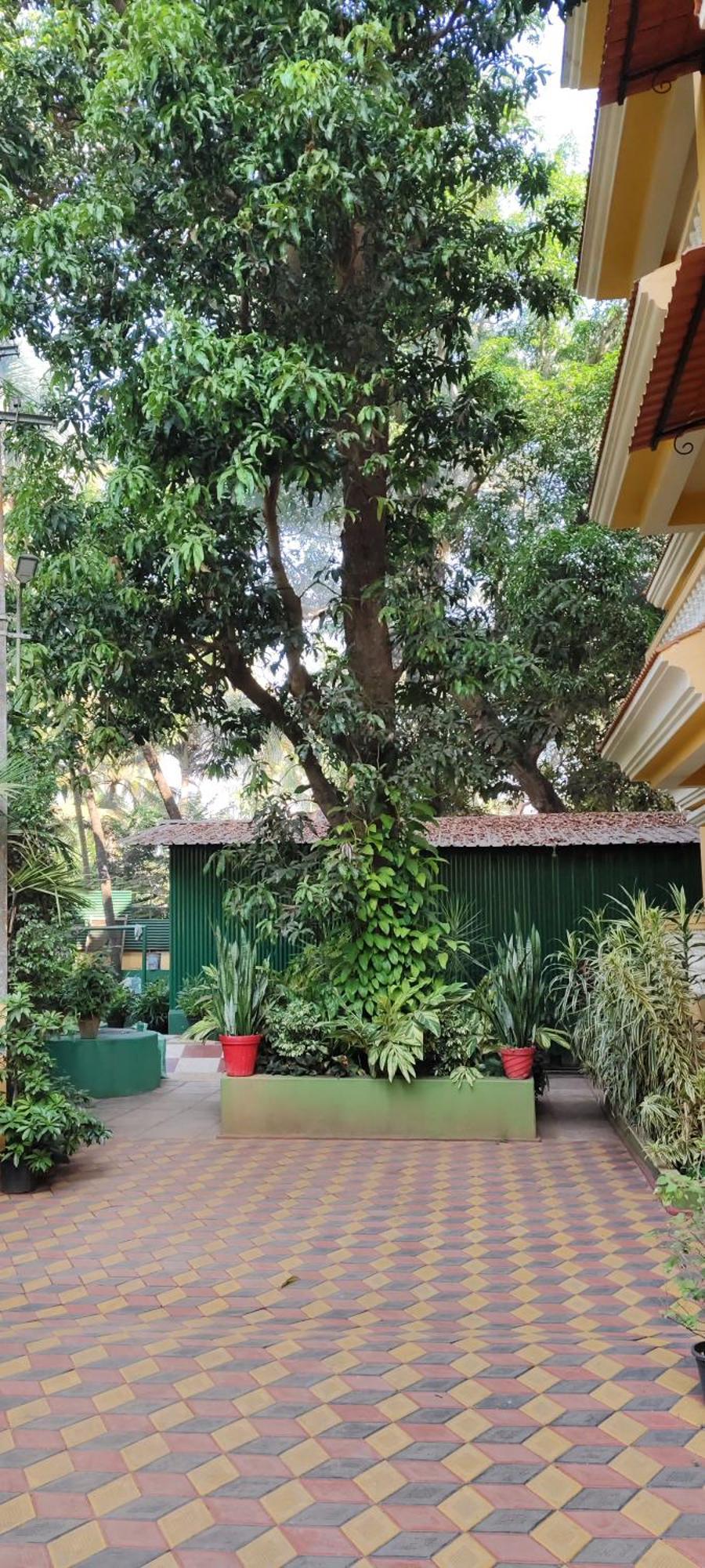 Ena Holiday Inn Calangute Esterno foto