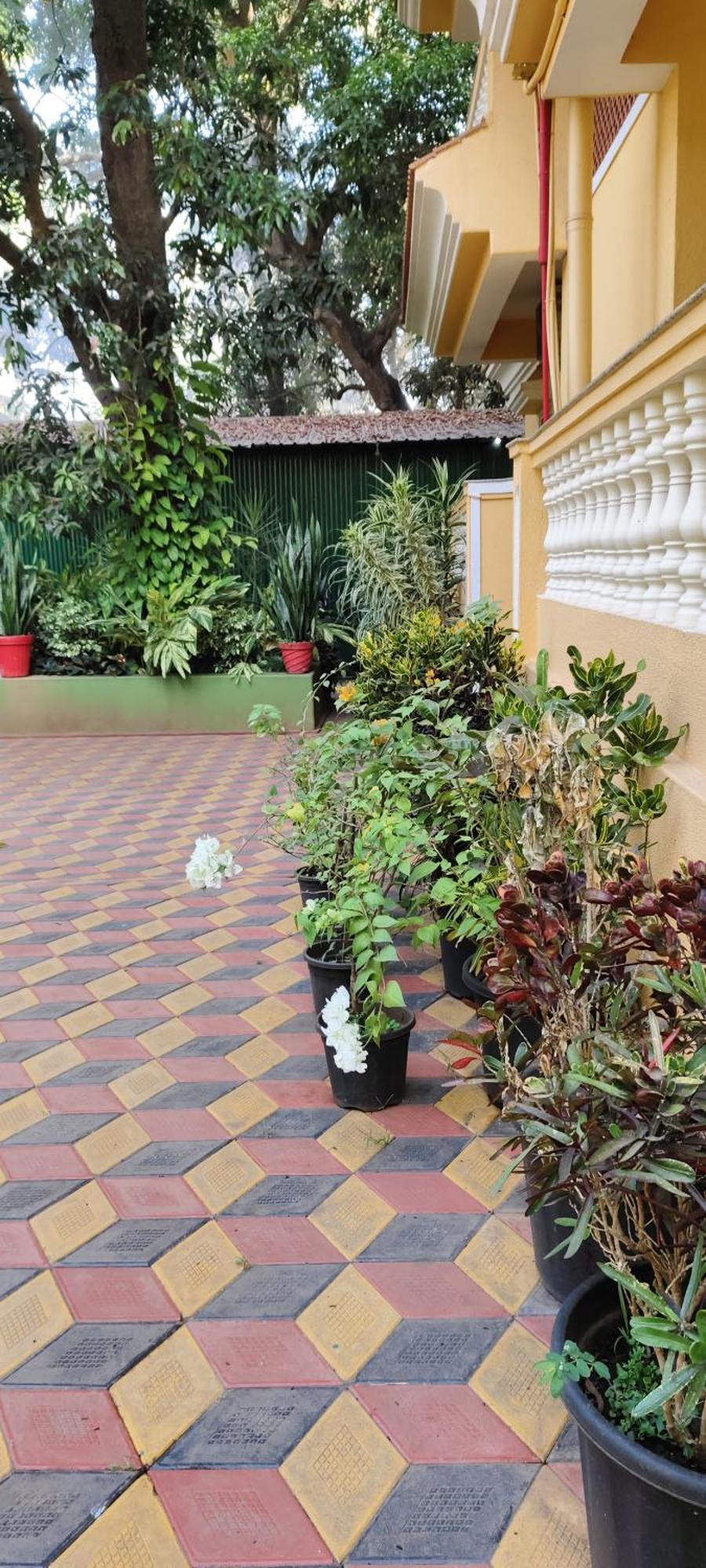Ena Holiday Inn Calangute Esterno foto